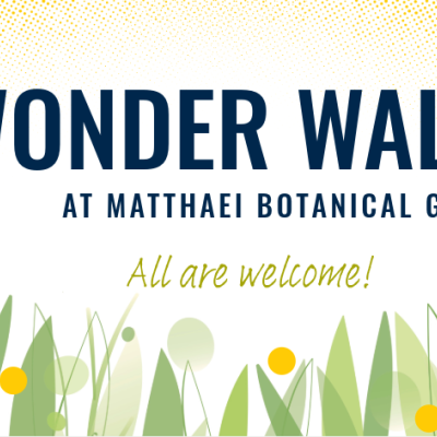 wonder walk graphic all are welcome