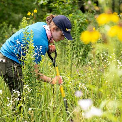 Calla working in native plant garden with a large shovel 