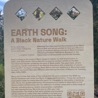 wooden sign for Earth Song: A Black Nature Walk exhibit