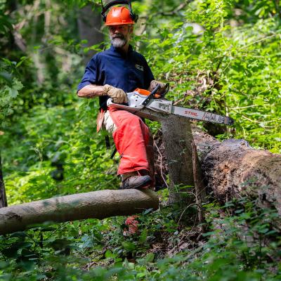 Steve holds an electric chainsaw in the Arb