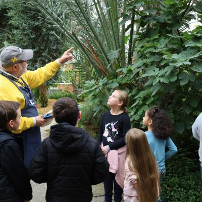 an adult points to a tree in the conservatory while a group of elementary ages children look on