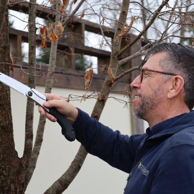 Doug using hand saw to trim tree