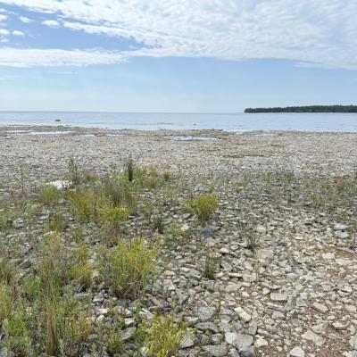 Cobble Beach landscape in Michigan