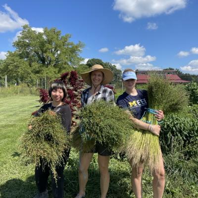 Angeline, Melissa, and Annie hold arm fulls of harvested flax plants.