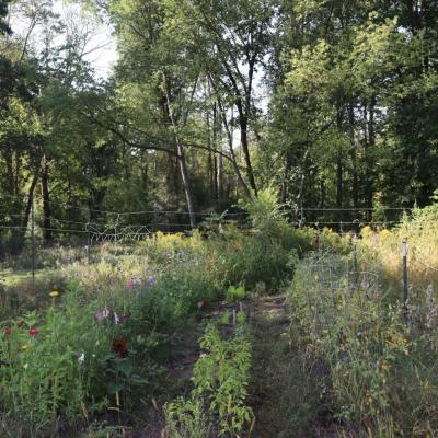 a garden plot