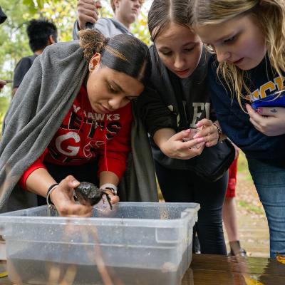 three teens gather around a clear plastic bin filled with water as one holds a small rock