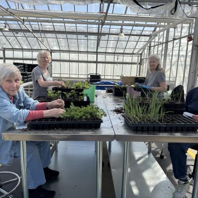four volunteers in a greenhouse with plants at a table
