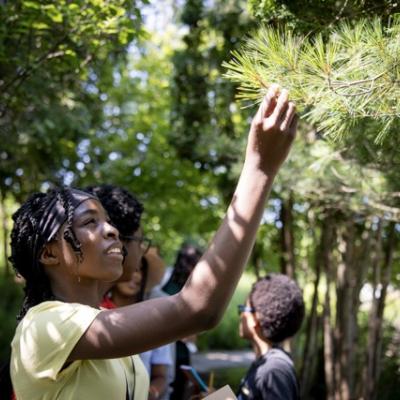 teen looks up at a pine tree and touches branch