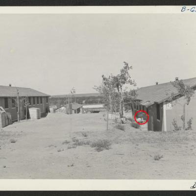Japanese internment camp with a bonsai near a building